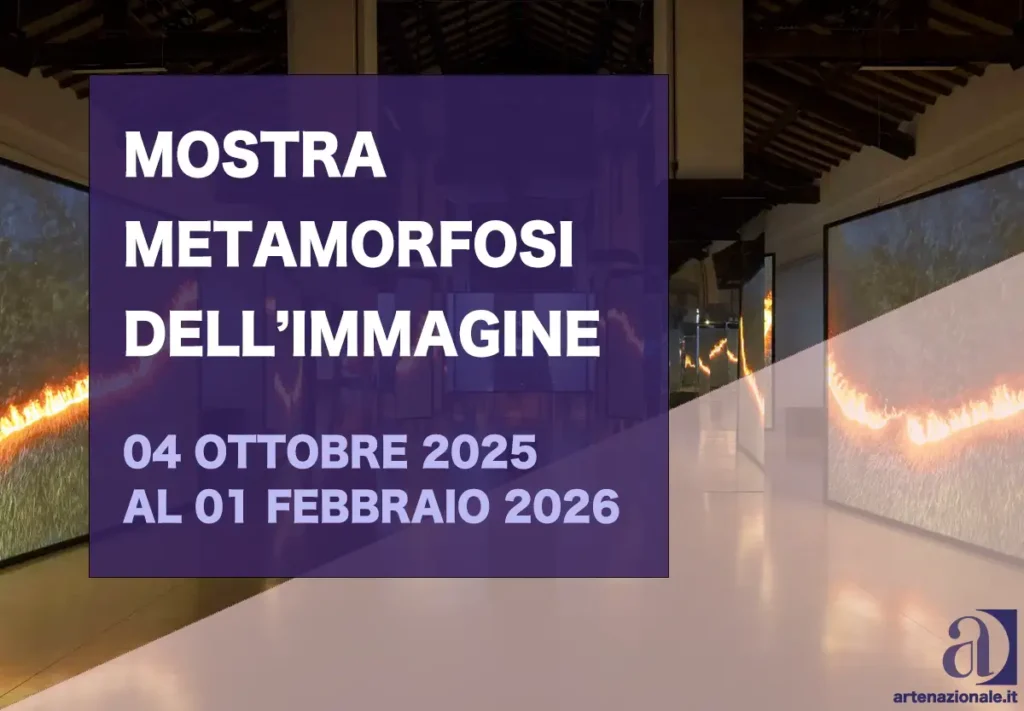 Metamorphosis (2025)