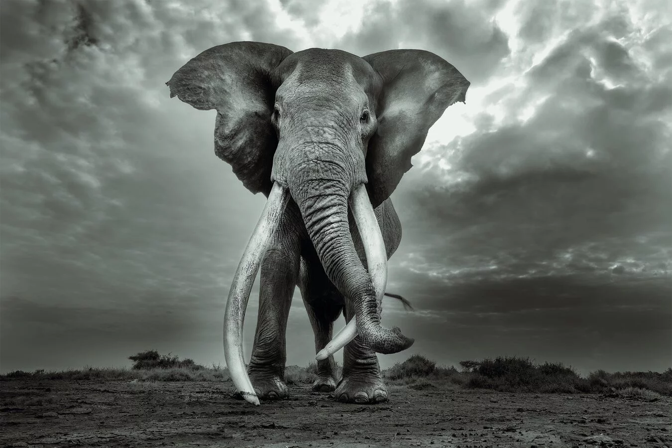 Cristina Mittermeier. La Grande Saggezza in mostra a Vicenza, nelle Gallerie d'Italia