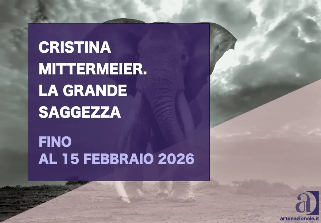 Enoughness (“abbastanza”) – riflessione sull’equilibrio fra uomo e natura