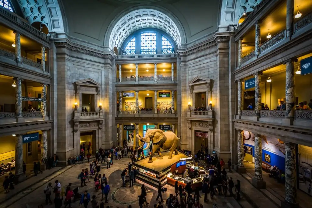 MoMA (New York) — L’interno contemporaneo, con una sala luminosa e moderna: perfetta rappresentazione del museo dell’arte moderna