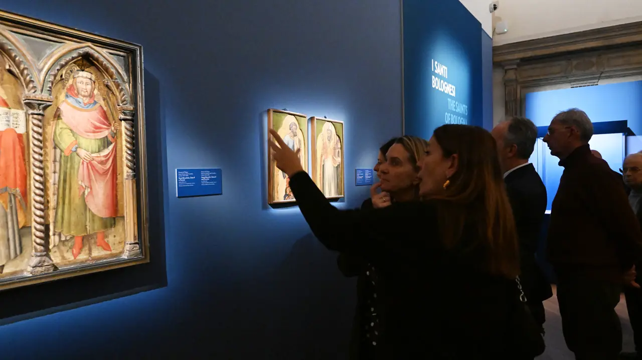 Michelangelo a Bologna: un dialogo tra genio e città a Palazzo Fava